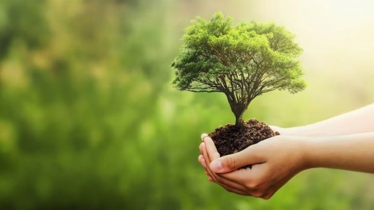 Selamat Hari Lingkungan Hidup Sedunia! Catat 3 Langkah Sederhana yang Bisa Dilakukan untuk Melestarikan Lingkungan