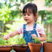 5 Langkah Sederhana untuk Mendorong Kemauan Anak Menjaga dan Mencintai Lingkungan, Apa Saja?