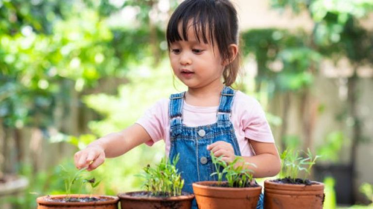 5 Langkah Sederhana untuk Mendorong Kemauan Anak Menjaga dan Mencintai Lingkungan, Apa Saja?