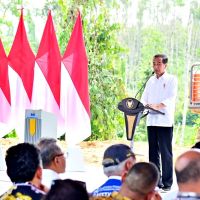 Jokowi Minta Program Food Estate Tak Dibiayai APBN Lagi