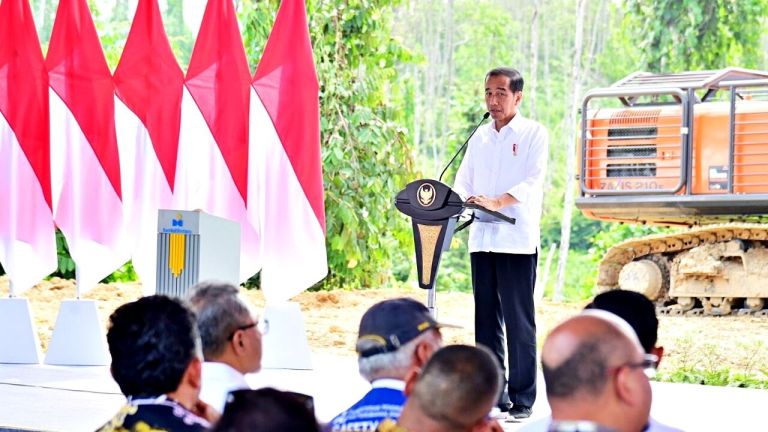 Jokowi Minta Program Food Estate Tak Dibiayai APBN Lagi