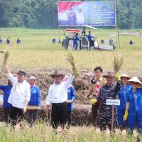 Kebut Program Swasembada Pangan, Prabowo Perintahkan Kementan Cetak Sawah di Papua dan Kalimantan