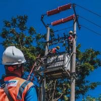 Setor Dividen Rp3,09 Triliun, Kementerian BUMN Dukung PLN Lanjutkan Transformasi Bisnis