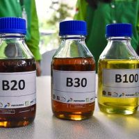 Mendorong Program Biodiesel Jadi Akselerator Peningkatan Pendapatan dan Kesejahteraan Petani