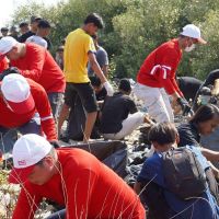 Gandeng Pandawara, Yayasan WINGS Peduli Gelar Program Kemerdekaan Bertema Lingkungan