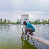 eFishery Dorong Pertumbuhan Bisnis Berkelanjutan Lewat Tata Kelola Perusahaan yang Baik