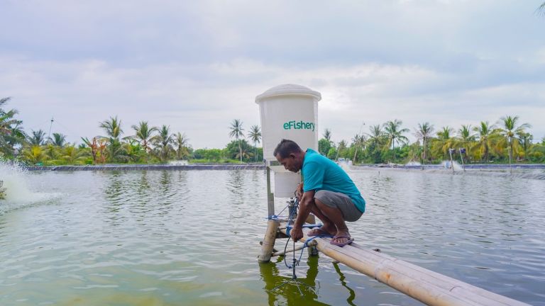 eFishery Dorong Pertumbuhan Bisnis Berkelanjutan Lewat Tata Kelola Perusahaan yang Baik