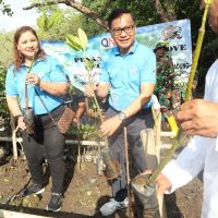 Upaya Meningkatkan Jumlah Bakau Produktif di Taman Hutan Raya Ngurah Rai