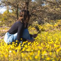 Sambut Musim Bunga Liar di Australia Barat, Cocok untuk Healing!