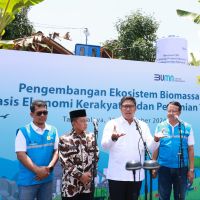 Ubah Lahan Kritis Jadi Hijau, PLN Kembangkan Ekosistem Biomassa Berbasis Pertanian Terpadu