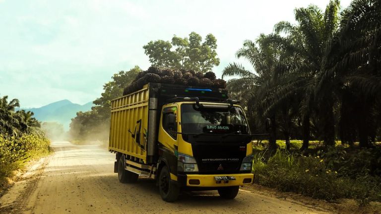 Hingga Kuartal III Tahun 2024, Laba Bersih ANJ Melonjak Lebih dari 1.000%