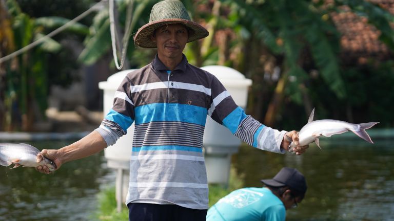 Peringati Hari Ikan Nasional 2024, eFishery Ingatkan Pentingnya Konsumsi Ikan Patin