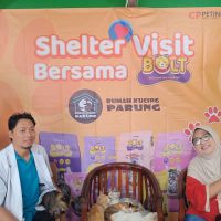 Melihat Tempat Penampungan Kucing Telantar, Rumah Kucing Parung (RKP), Bersama BOLT