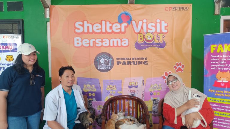 Melihat Tempat Penampungan Kucing Telantar, Rumah Kucing Parung (RKP), Bersama BOLT