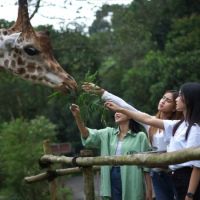 Kisah Berdirinya Taman Safari Indonesia, Ternyata Ini Sosok Pemiliknya!