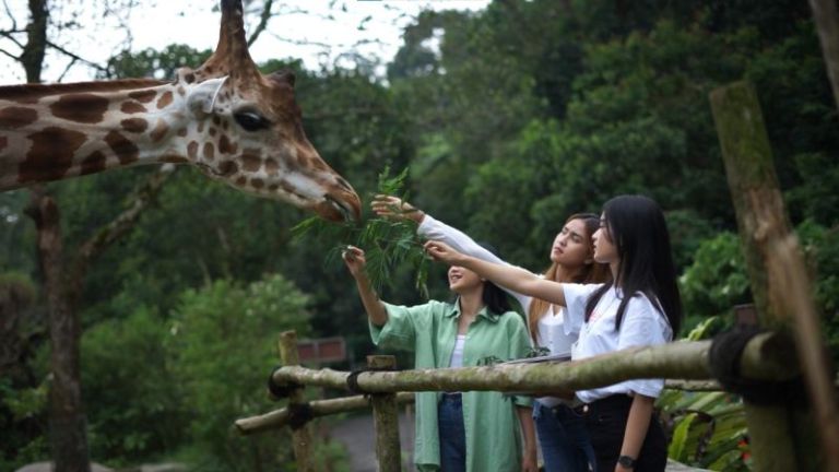 Kisah Berdirinya Taman Safari Indonesia, Ternyata Ini Sosok Pemiliknya!