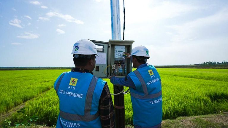 Electrifying Agriculture PLN Catatkan 53.539 Pelanggan Baru di Tahun 2024