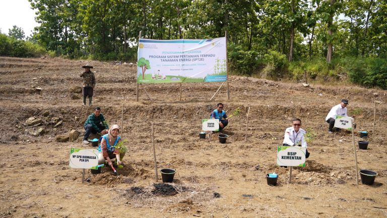 PLN EPI dan Kementan Sinergi Hijaukan Brebes, Sulap Lahan Tandus Jadi Tanaman Energi