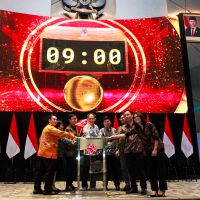 Menurun di 2024, Bagaimana Proyeksi IPO di Indonesia Tahun 2025?