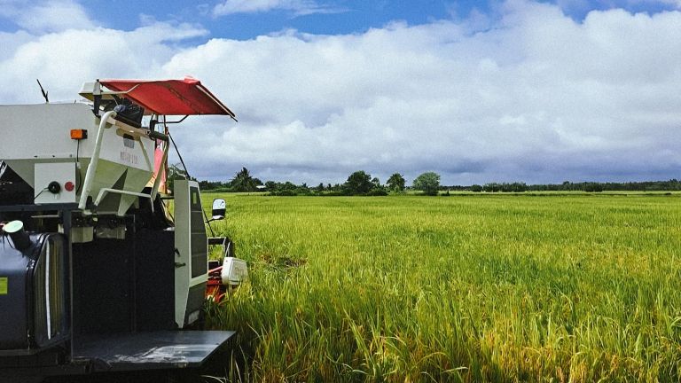 Petani Banyuasin Manfaatkan Alsintan untuk Efisiensi di Musim Panen