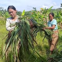 Produk UMKM Binaan Astra Agro Berhasil Tembus Pasar Jakarta