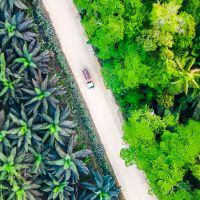 Transformasi Agribisnis Perkebunan Indonesia