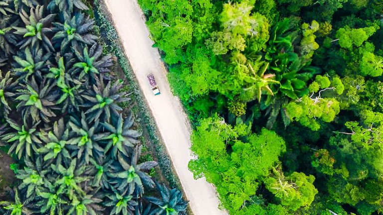 Transformasi Agribisnis Perkebunan Indonesia