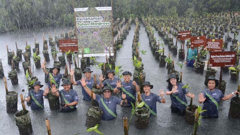 Pertamina Drilling Tanam 1.000 Pohon Mangrove di Pesisir Jakarta Utara