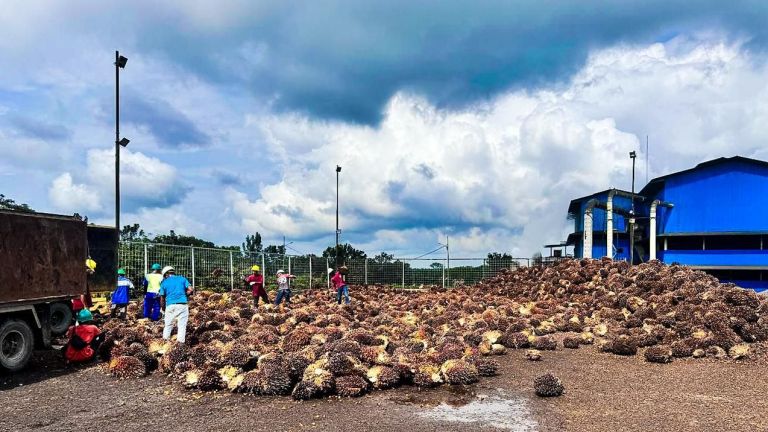 Perusahaan Sawit di Riau Gunakan Listrik Hijau PLN