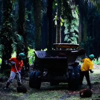 Teknologi dan Digitalisasi Kunci Utama Ketahanan Industri Sawit