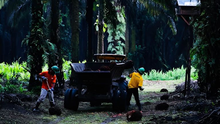 Teknologi dan Digitalisasi Kunci Utama Ketahanan Industri Sawit