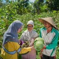 Program Pertanian Organik STM Dongkrak Hasil Panen Petani Lokal