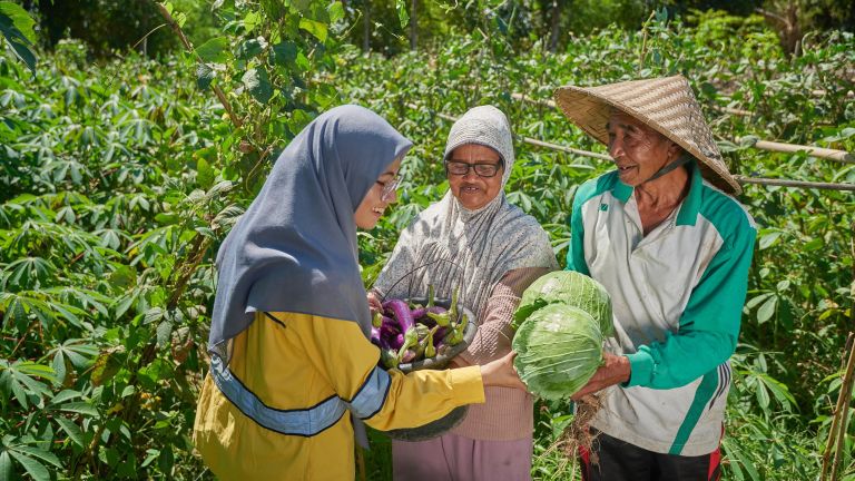 Program Pertanian Organik STM Dongkrak Hasil Panen Petani Lokal