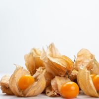 Kerap Dianggap Remeh, Ciplukan dan 3 Jenis Buah-buahan Ini Justru Kaya Akan Nutrisi