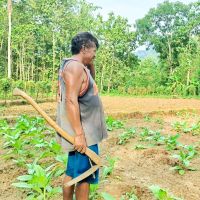 Petani di Desa Karanggayam Kebumen: Menjaga Tradisi Menanam Tembakau