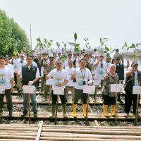 PLN Wujudkan Komitmen Lingkungan Lewat Penanaman 10.000 Mangrove di Penjaringan