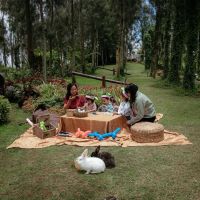 Plataran Bromo Masuk Daftar Hotel Keluarga Terbaik Dunia Versi TripAdvisor