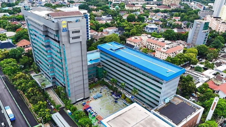 PLN Sukses Turunkan Durasi dan Frekuensi Gangguan Listrik Sepanjang 2024