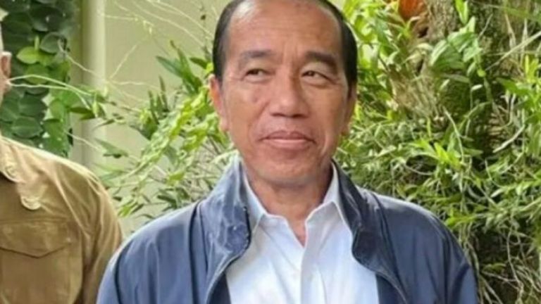 Jokowi Mengalami Perubahan Kulit Karena Alergi, Bagaimana Kondisi Fisiknya?
