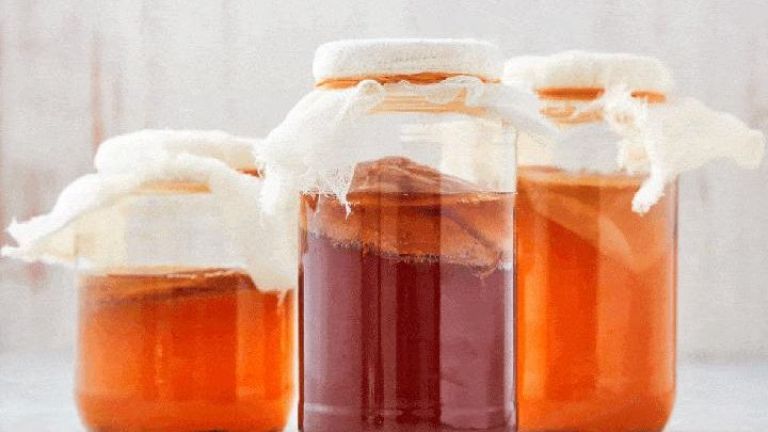 5 Minuman Fermentasi yang Efektif Melawan Penuaan Secara Alami