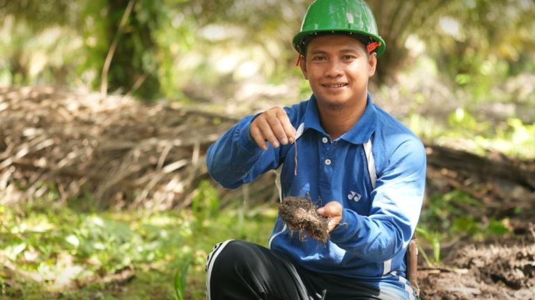 Menelisik Dampak Pertanian Regeneratif di Indonesia