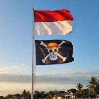 Demokrat: Pengibaran Bendera One Piece Sebagai Bentuk Protes dan Mimpi