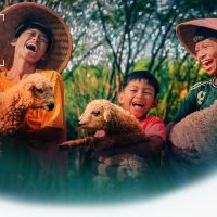 Lewat Semangat Joy in Nusantara, vivo Gelar Imagine Mobile Photography Competition 2025