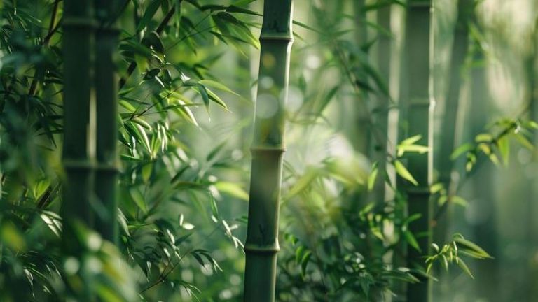 Bambu: Sumber Daya Strategis untuk Ekosistem, Ekonomi, dan Gaya Hidup Masa Depan