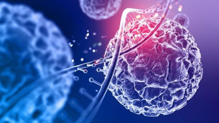 Mengenal Terapi Stem Cell: Terobosan untuk Stroke dan Penyakit Saraf