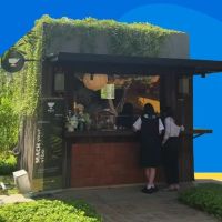 MACH, Cita Rasa Matcha Premium dari Kagoshima Karya Mahasiswa BINUS