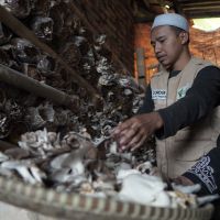 Kisah Dai Transformatif: Budidaya Jamur Tiram dan Jalan Dakwah Produktif