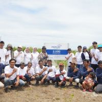 Aksi Nyata Jaga Warisan Alam, PERURI Tanam Ribuan Pohon Mangrove di Perairan Tanjung Pakis Karawang