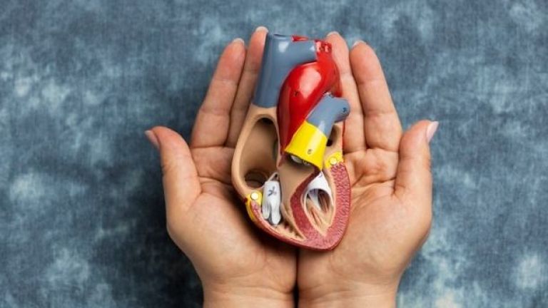 Jangan Sepelekan Sesak Napas! Intip Tantangan Deteksi Dini Kebocoran Katup Jantung di Indonesia