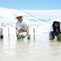 Bank Indonesia Genjot Transisi Ekonomi Hijau Lewat Penanaman Mangrove di Kepulauan Seribu